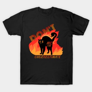 Angry Black Cat with Flames Design T-Shirt